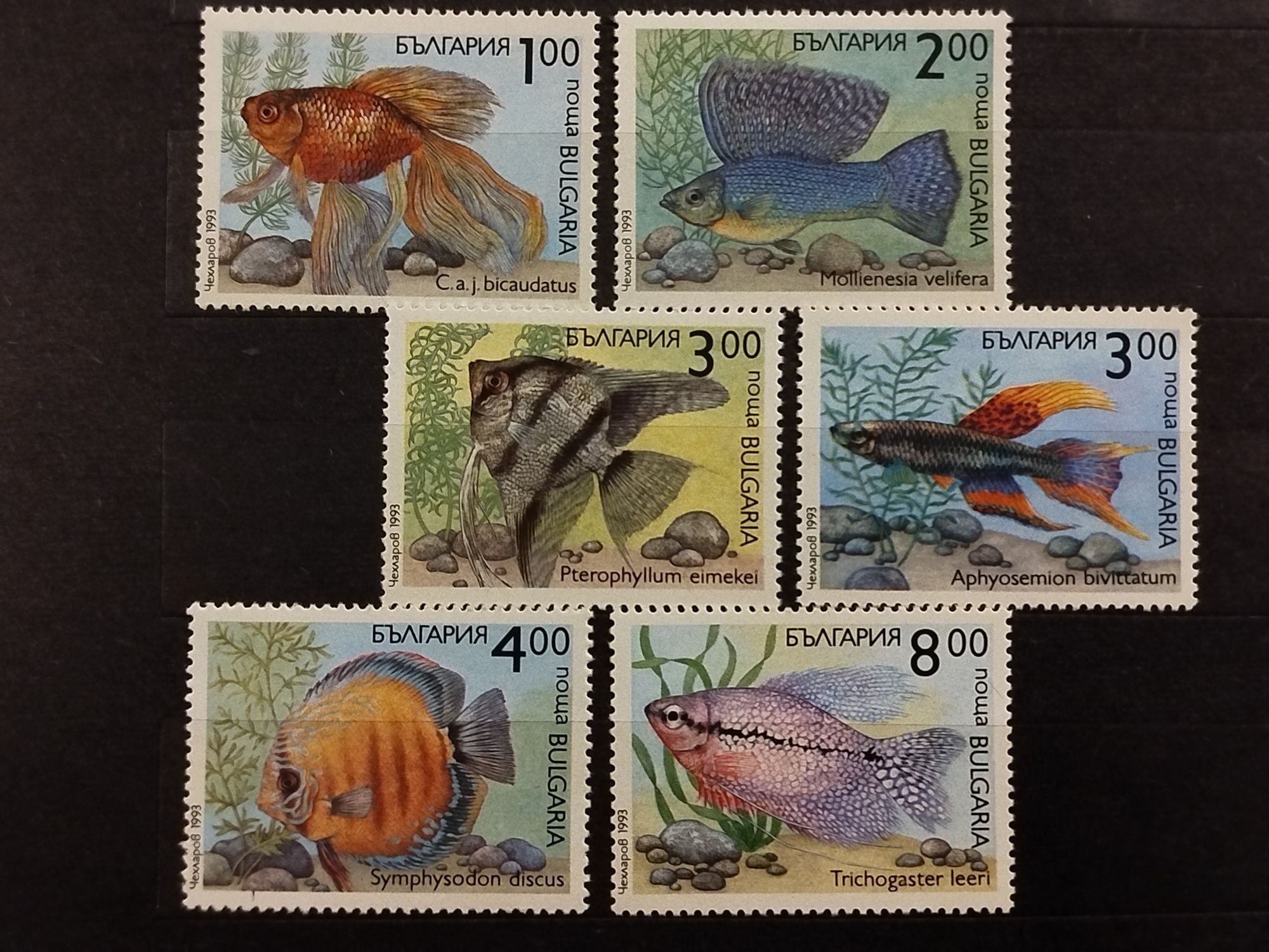 Znaczki Bułgaria 1993 fauna ryby
