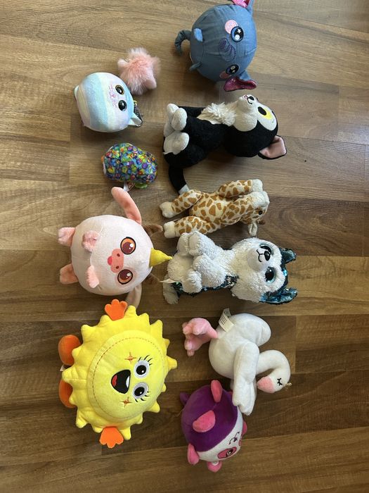 Maskotki misie misiaki pieski