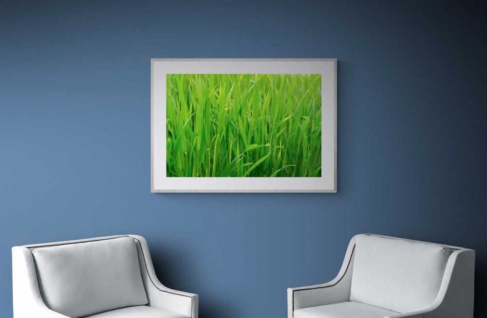 Obraz w Ramie Plakat Antyrama Natura Trawa Green 40x30 cm