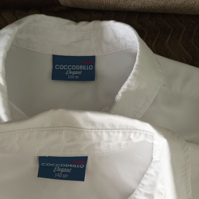 Koszule cocodrillo 140