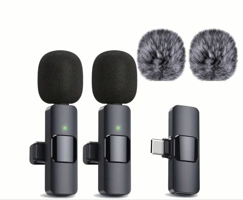 Два микрофона-петлички таипси