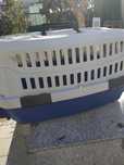 Transporte de animais