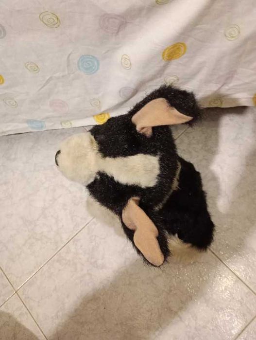 Husky peluche cão