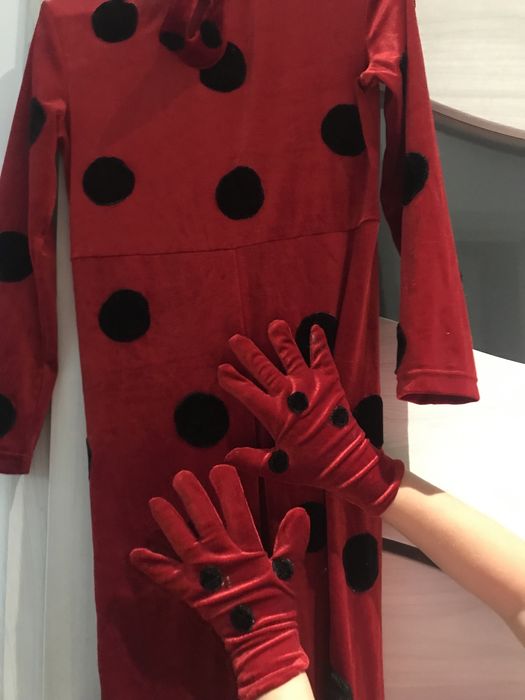 Karnawalowy strój biedronki