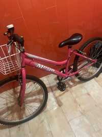 .Bicicleta rosaa