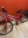 .Bicicleta rosaa