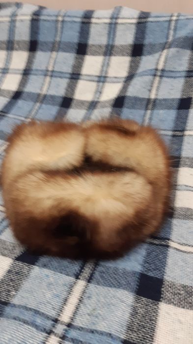 Зимние Головные уборы