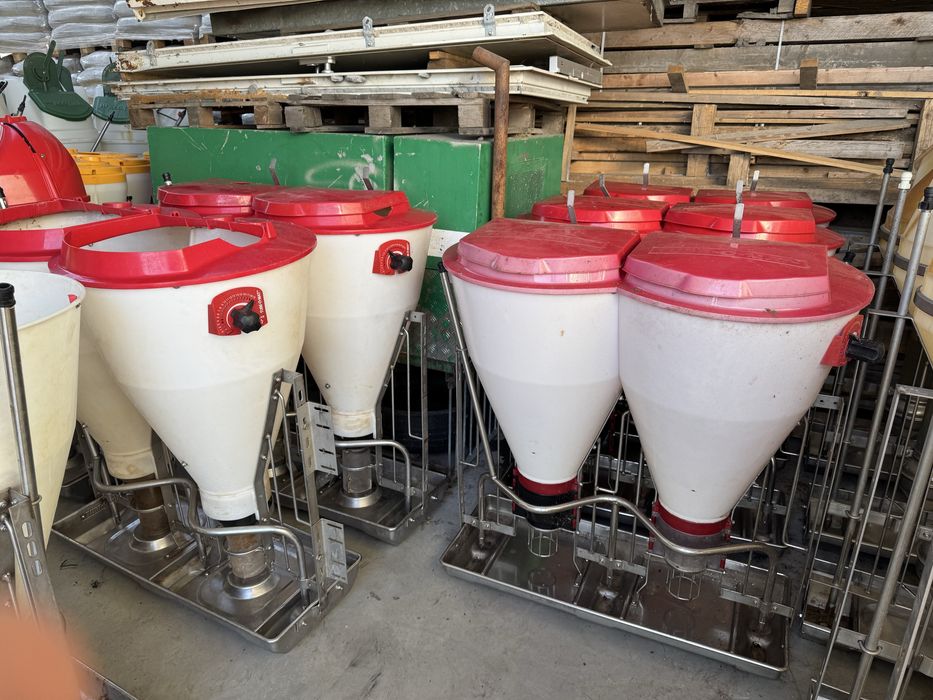 Karmniki - Tubomaty dla warchlak i tucznik - pasnik