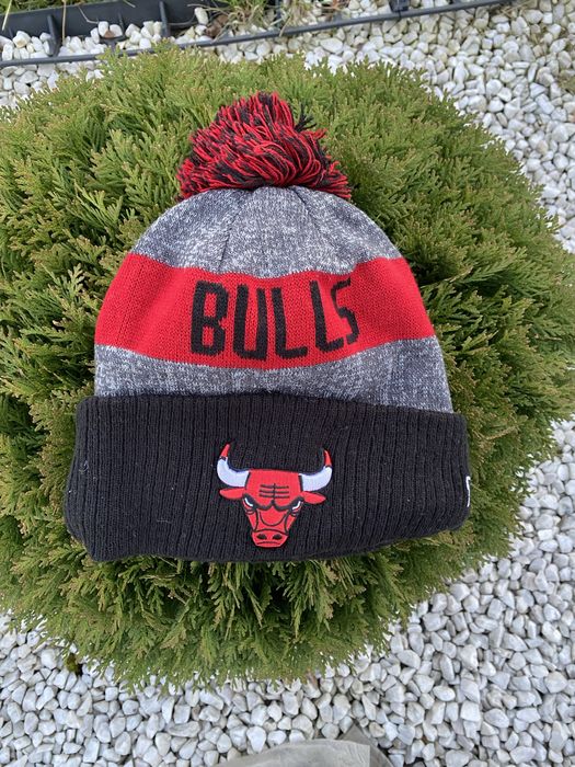 Шапка Chicago Bulls