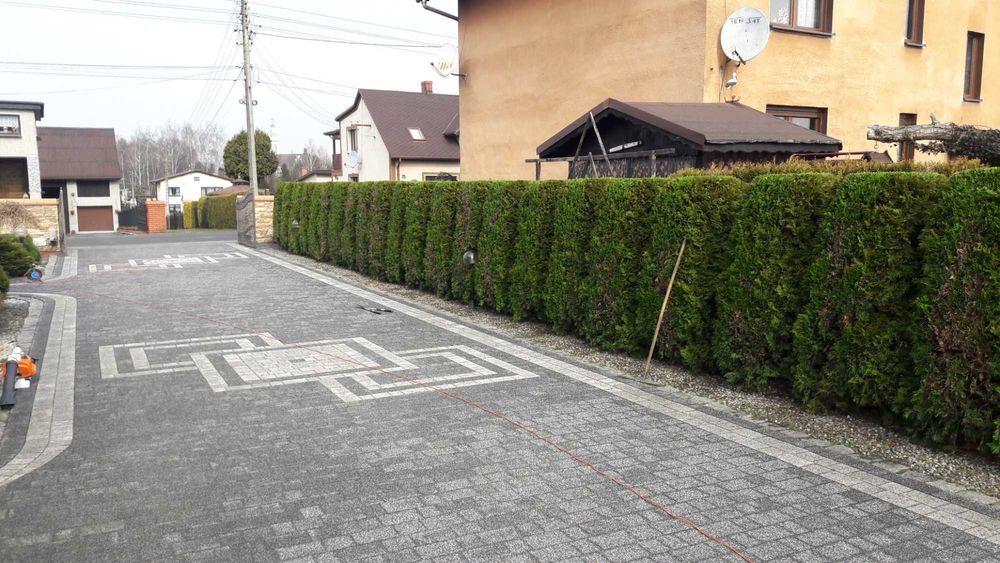 Przycinanie tujii drzew krzewów z wywozem odpadów pielęgnacja ogrodów