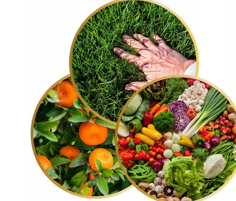 NAWÓZ DOLOMITOWY WAPNO z magnezem do trawy i warzyw 25KG 100m2 dolomit