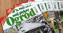 „Mój piękny ogród” cały rocznik 2011 + GRATIS