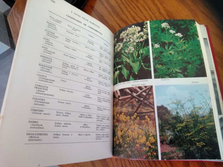 A saude pelos alimentos - 1973