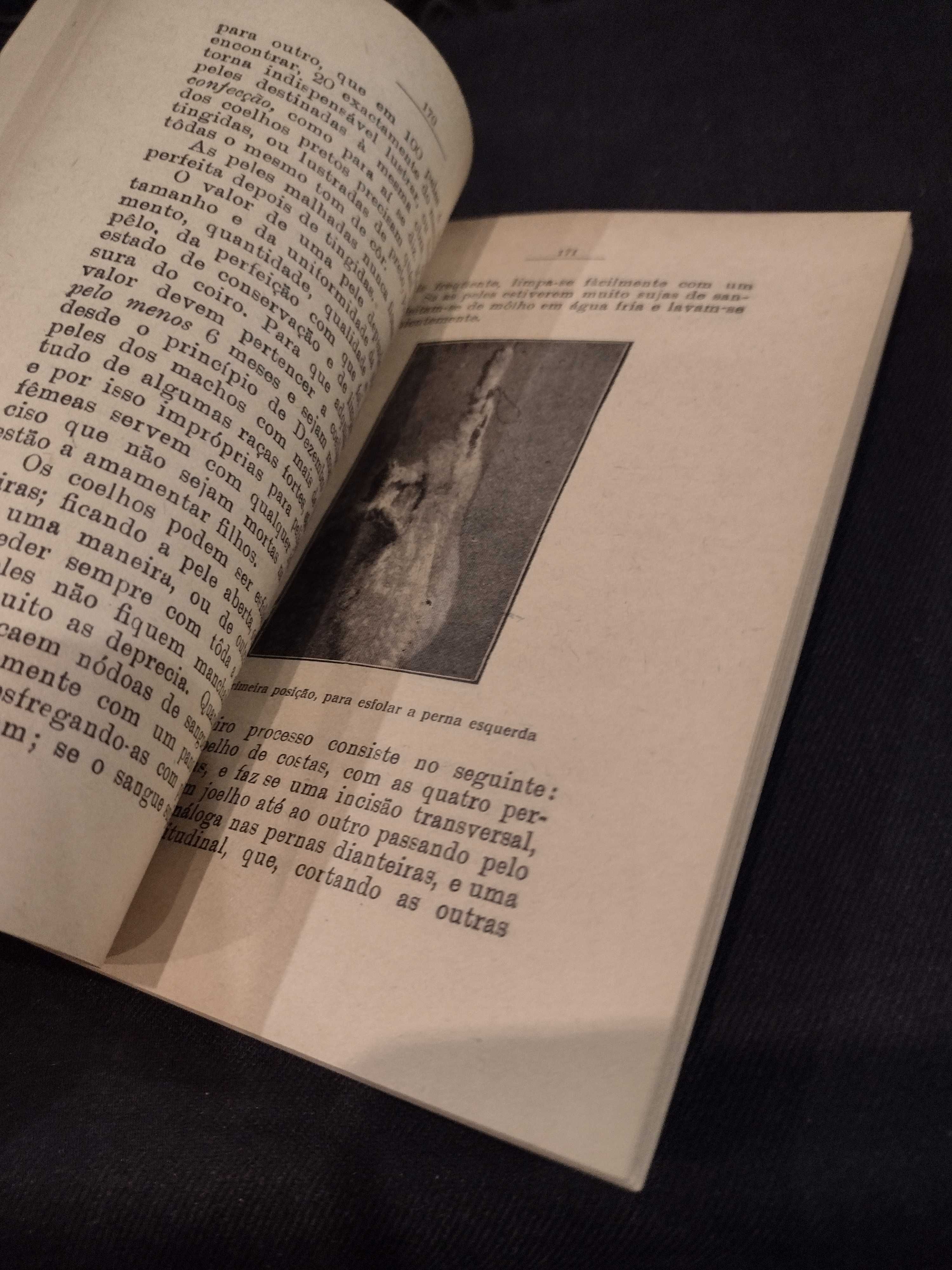 Coelho Doméstico "Raças e Criação" João Salema