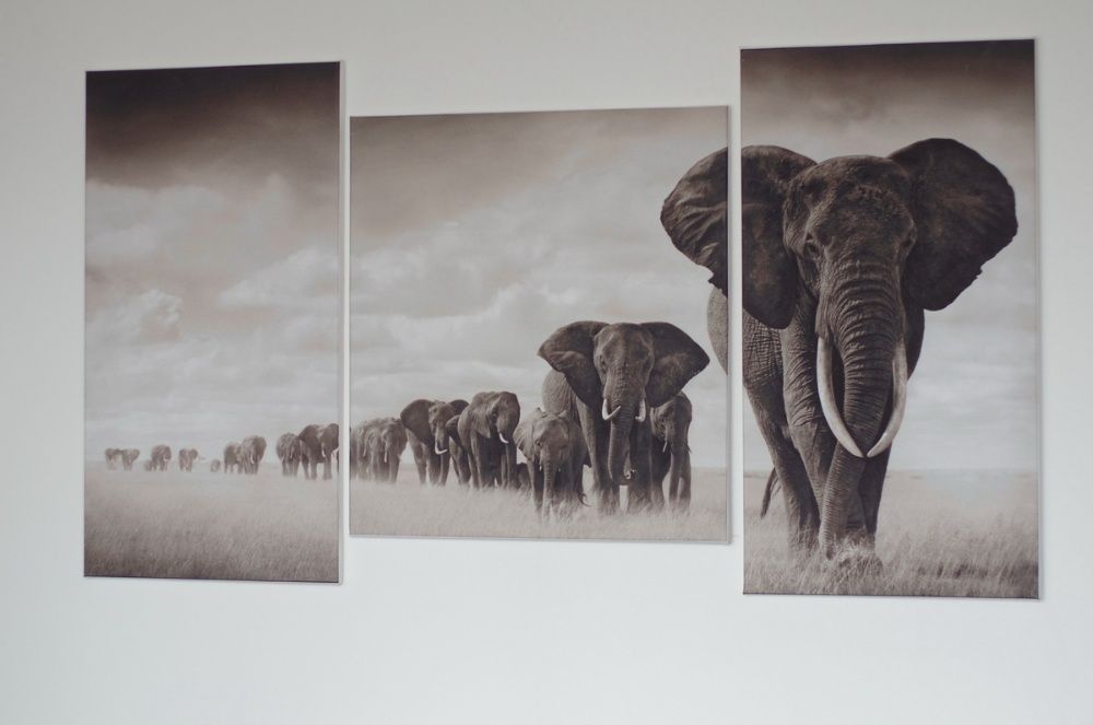 Картина слоны, печать на холсте, модульные картины, фотокартина
