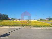 Lote Banda, Loureira