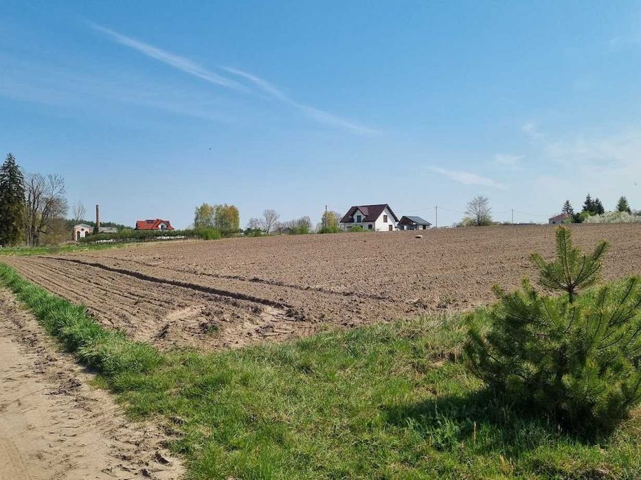 0,94 ha, Zofibór, obręb Wólka Domaszewska, gm. Wojcieszków, pow. Łuków