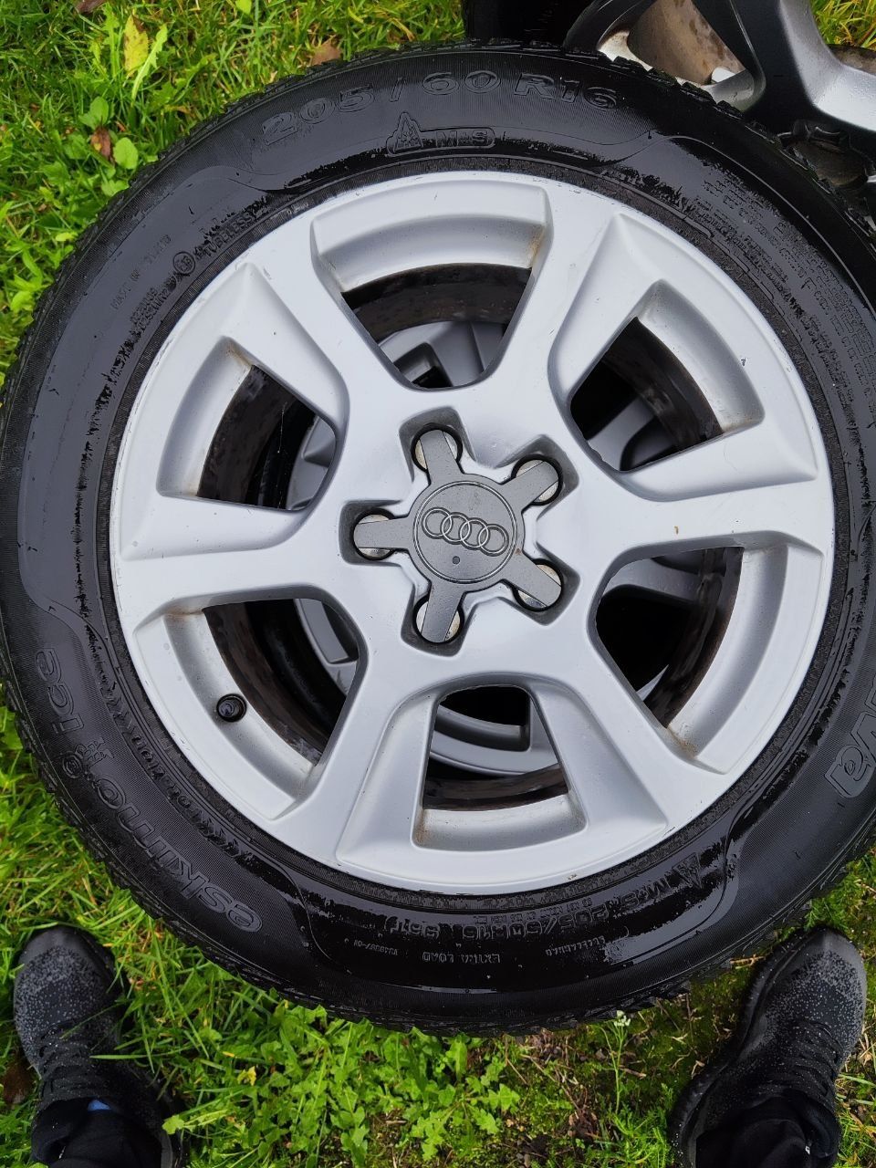 Титани VAG з резиною Sava Eskimo Ice r16, 205/60