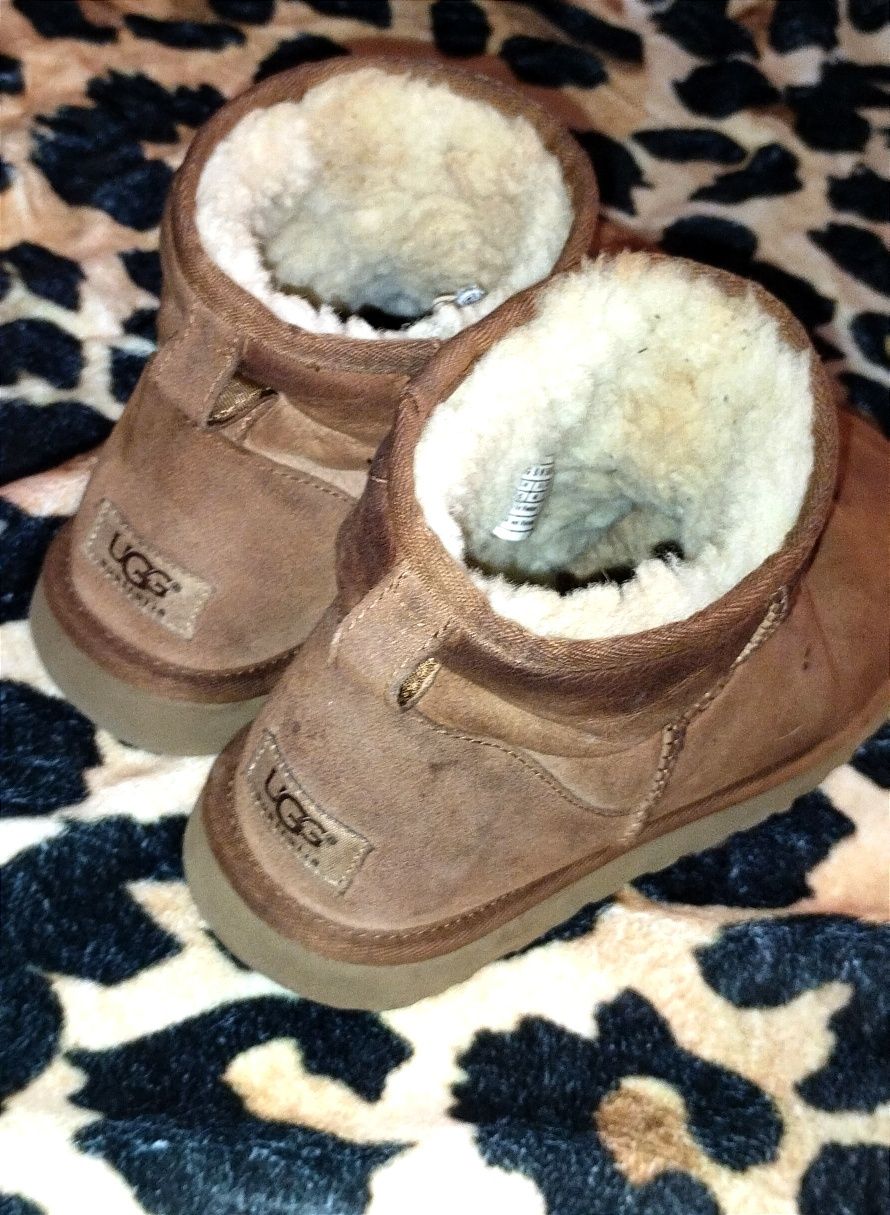 Buty UGG orginalne