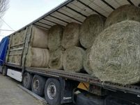 Siano słoma w balotach/ balach / bale / bele / własny transport