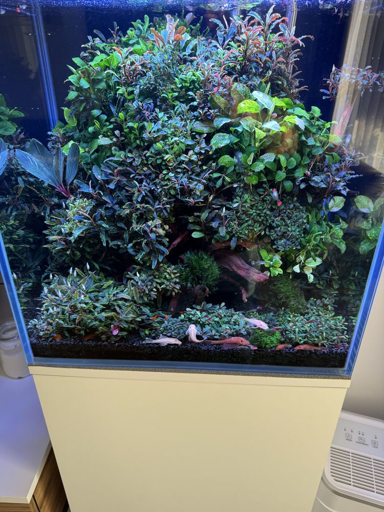 Akwarium 100L opti white
