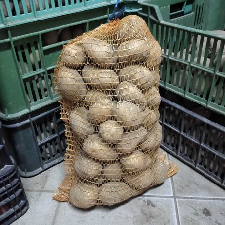 Sprzedam ziemniaki Denar Bellarosa Vineta