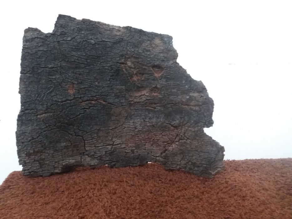 Placas de cortiça decorativas