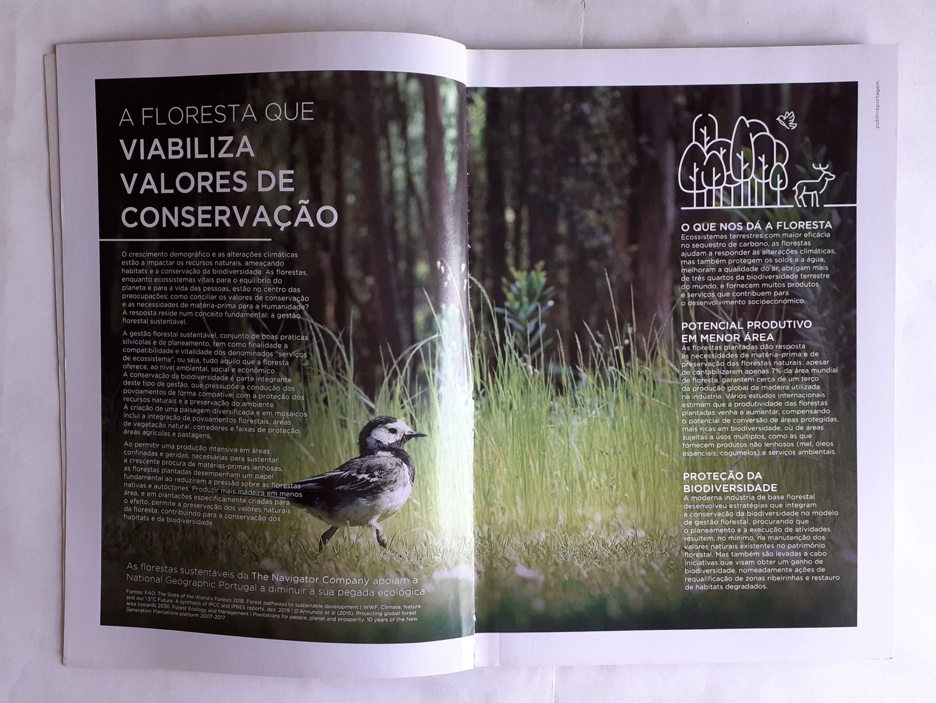 Revista National Geographic - O Grande Mistério do Evereste