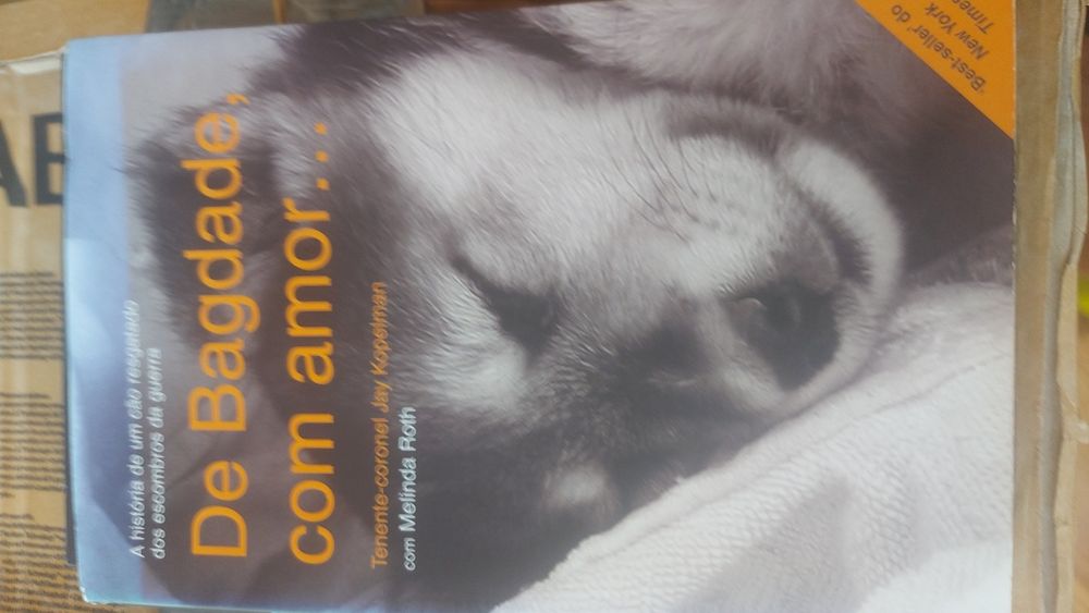 Livros de Guerras e Conflitos