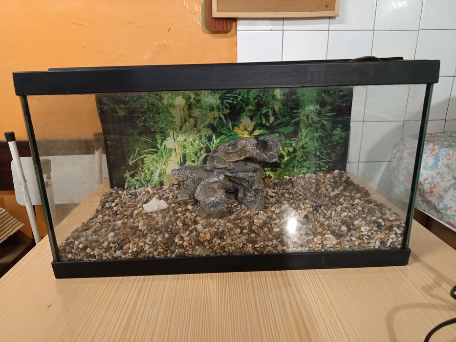 Aquário medio com acessórios