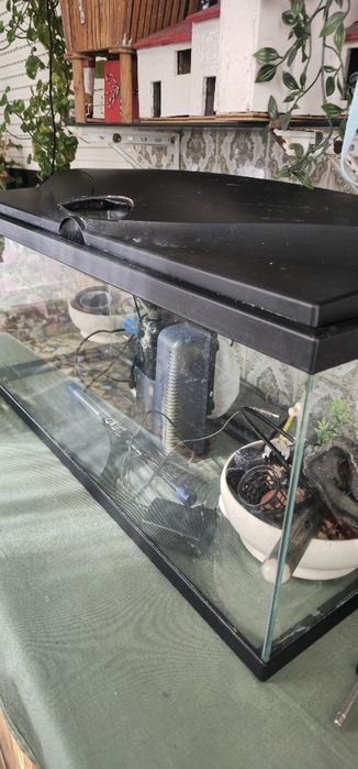 Aquario 90L com acessórios