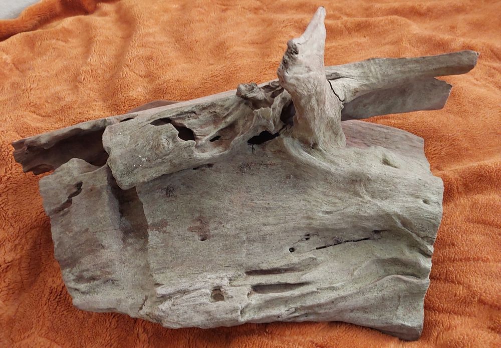 Duży ciężki korzeń do akwarium