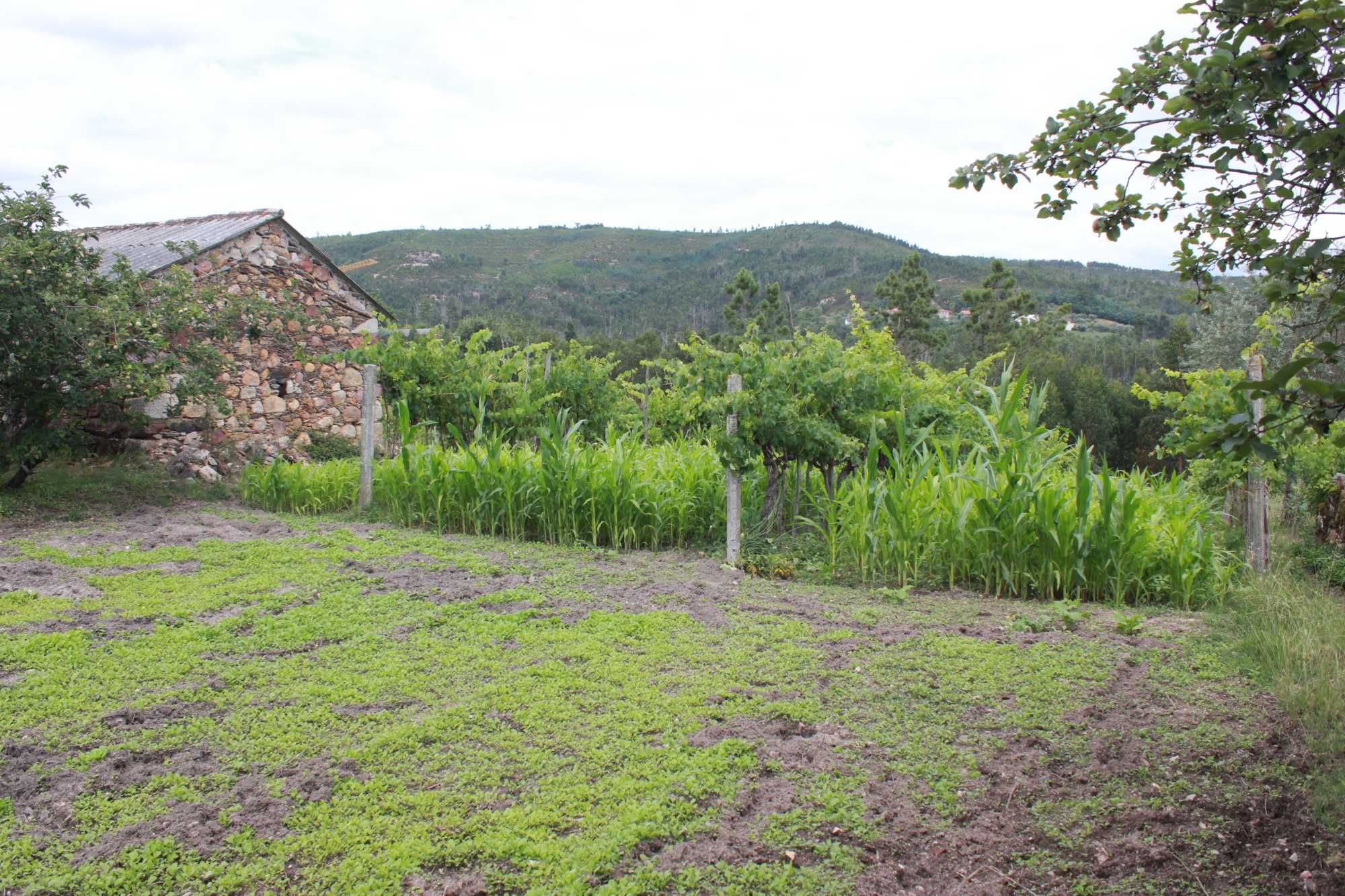 Casa antiga em pedra