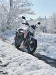 Geon pantera n200