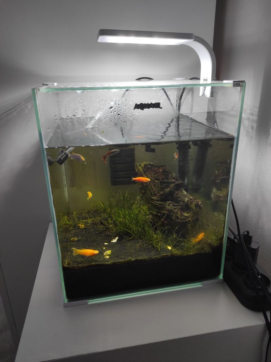 Akwarium ShrimpSet 30l Pompka/grzałka/lampka