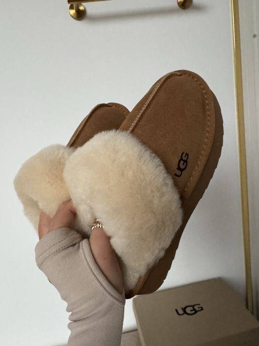 Капці тапочки ugg натуральна овчина замша коробка всі лого фото вживу