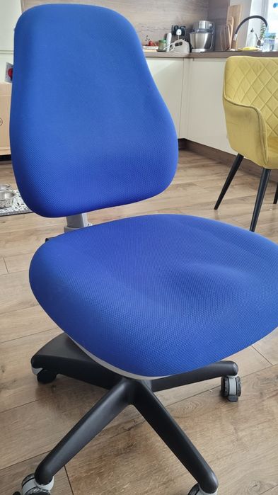 Ergodesk comf-pro. Ergonomiczne krzesło rosnące z dzieckiem