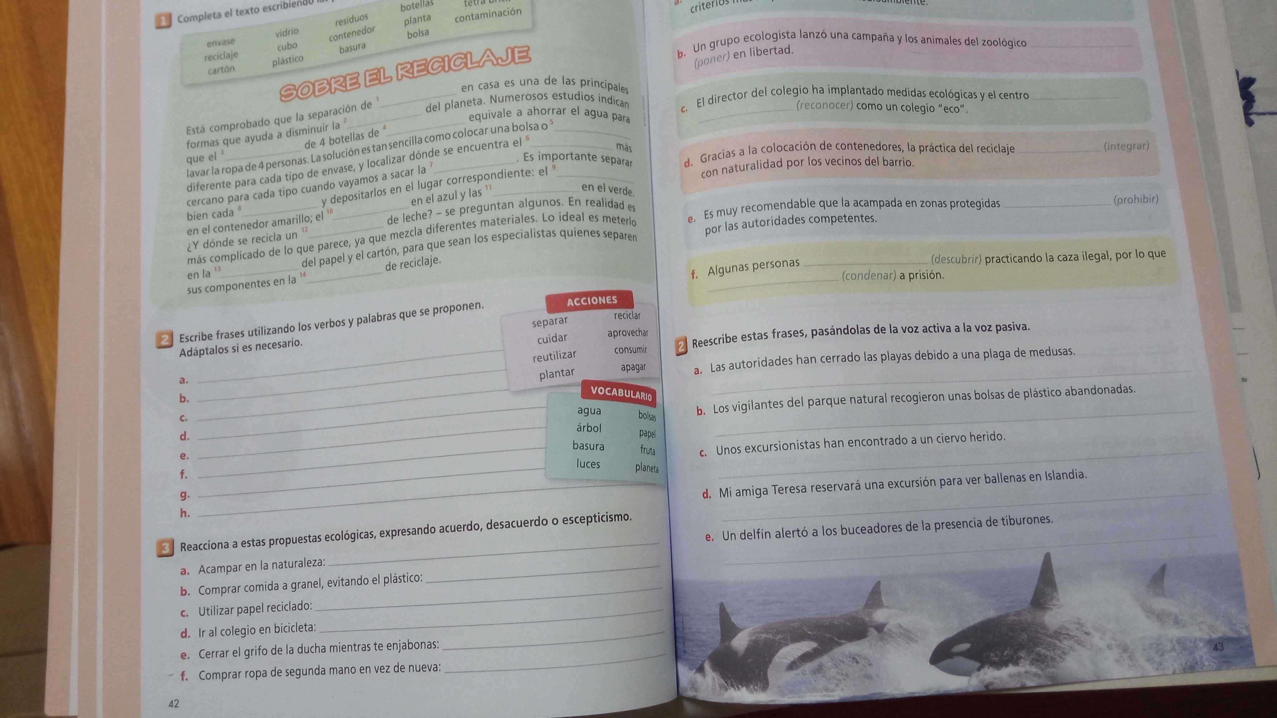 Caderno de atividades de espanhol 11º ano Endirecto.es 5