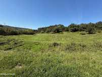 Terreno com 2 furos água, árvores de fruto, vinha e oliveiras