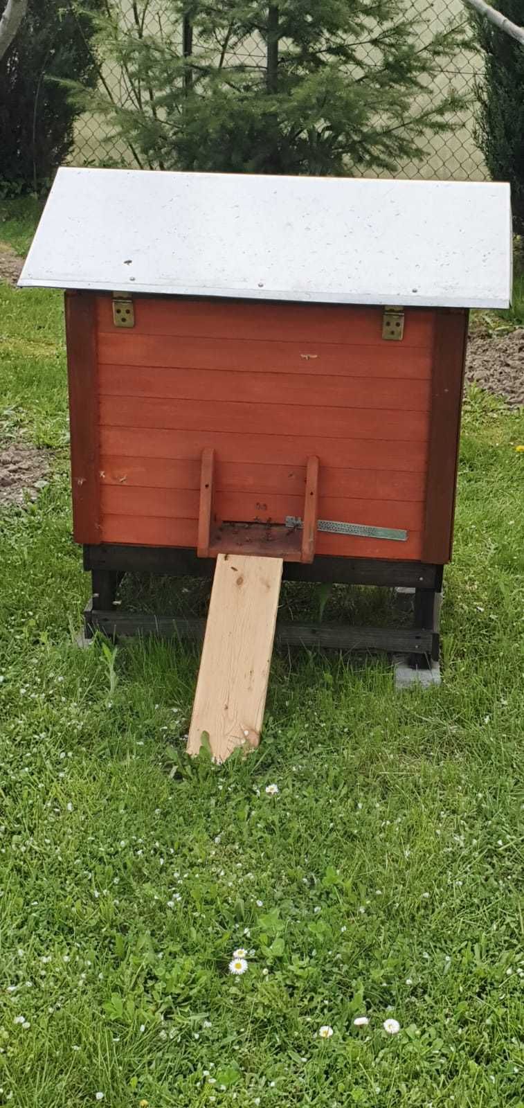 Ule wielkopolskie leżaki na 16 ramek! Solidne!