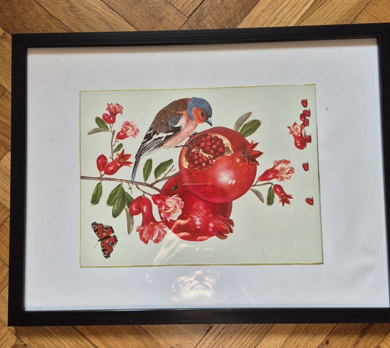 Obrazki w ramkach ze szkłem owoce