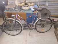 Rower z koszem biegi