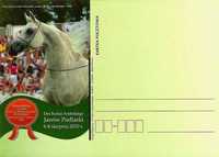 pocztówka koń konie arab EMANDORIA Janów Podlaski