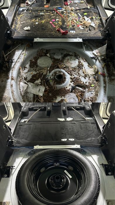 Хімчистка Авто Львів