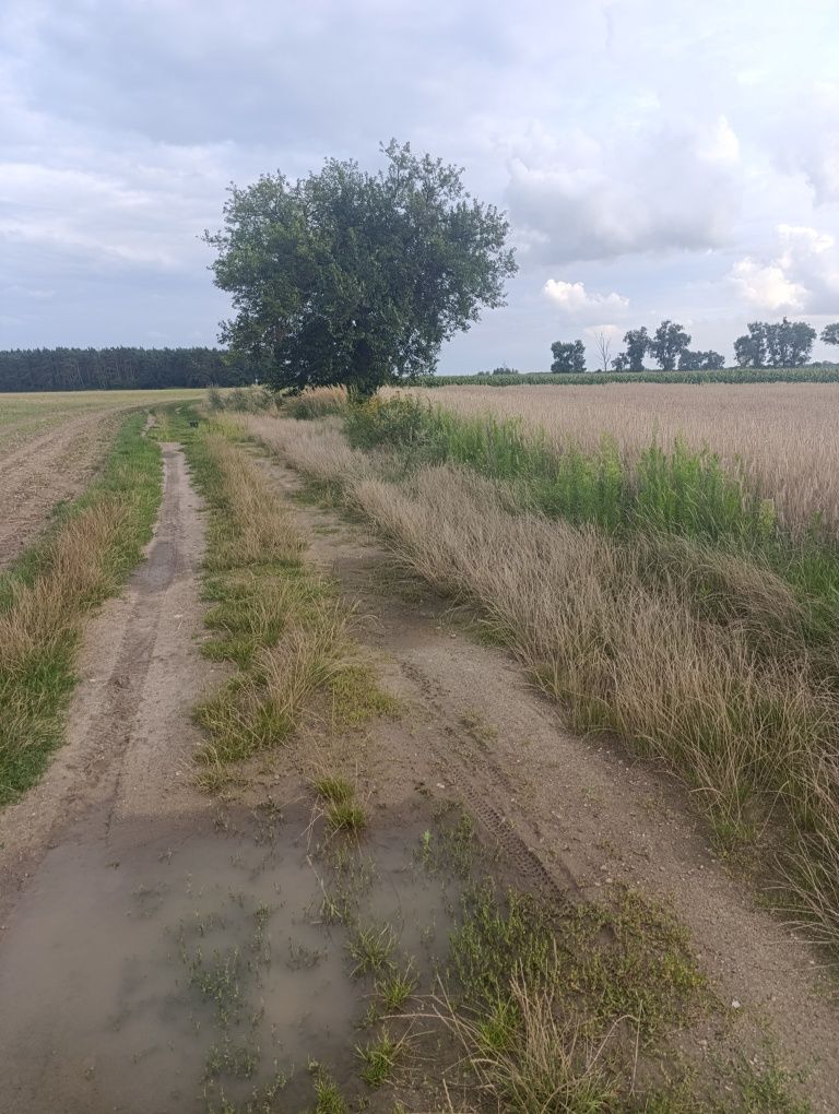 Działka przemysłowa - budowlana