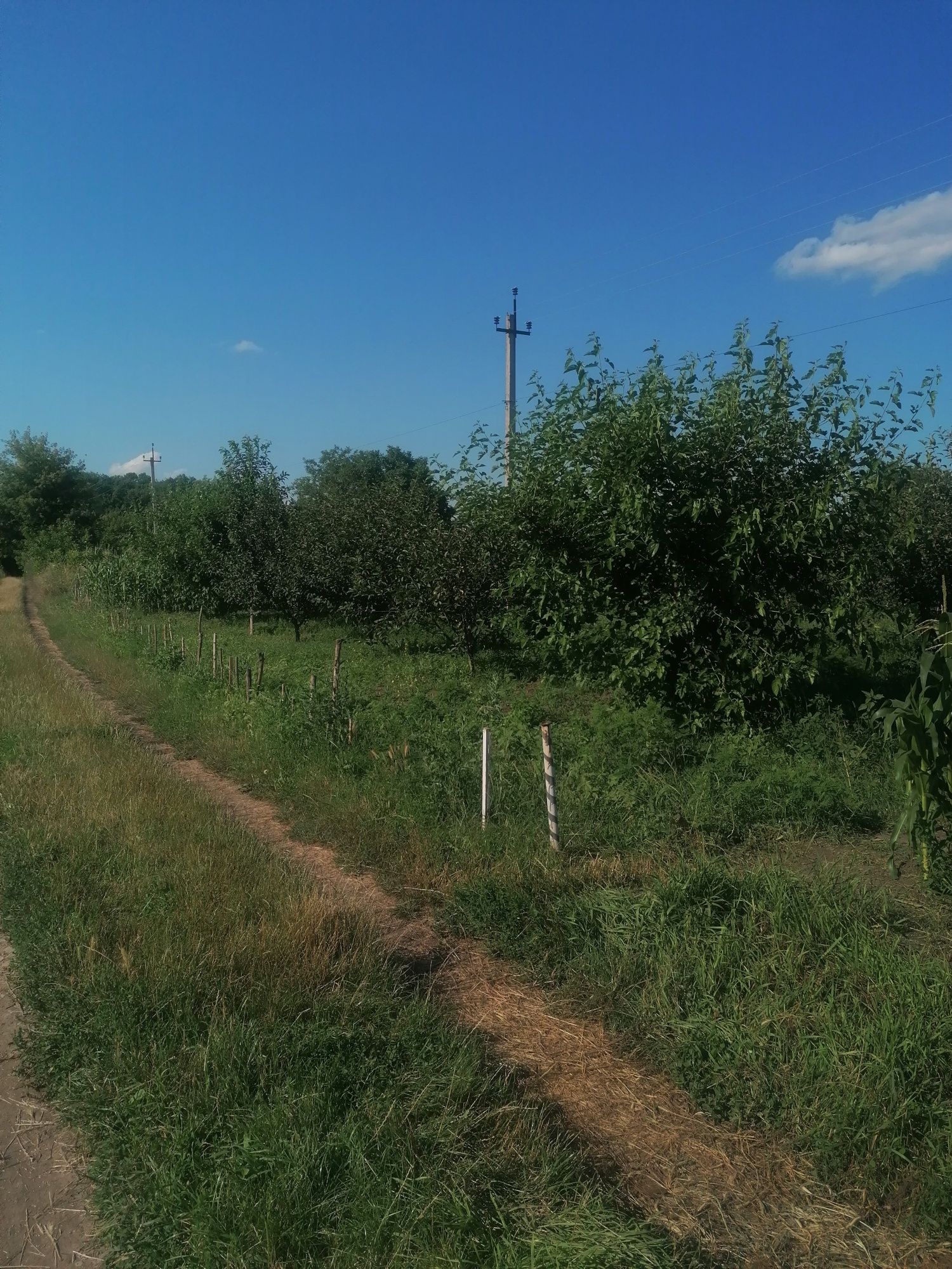 Продам земельну ділянку
