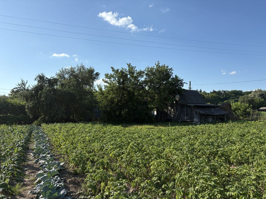 Продаж будинку Деснянське Новгород-Сіверський район