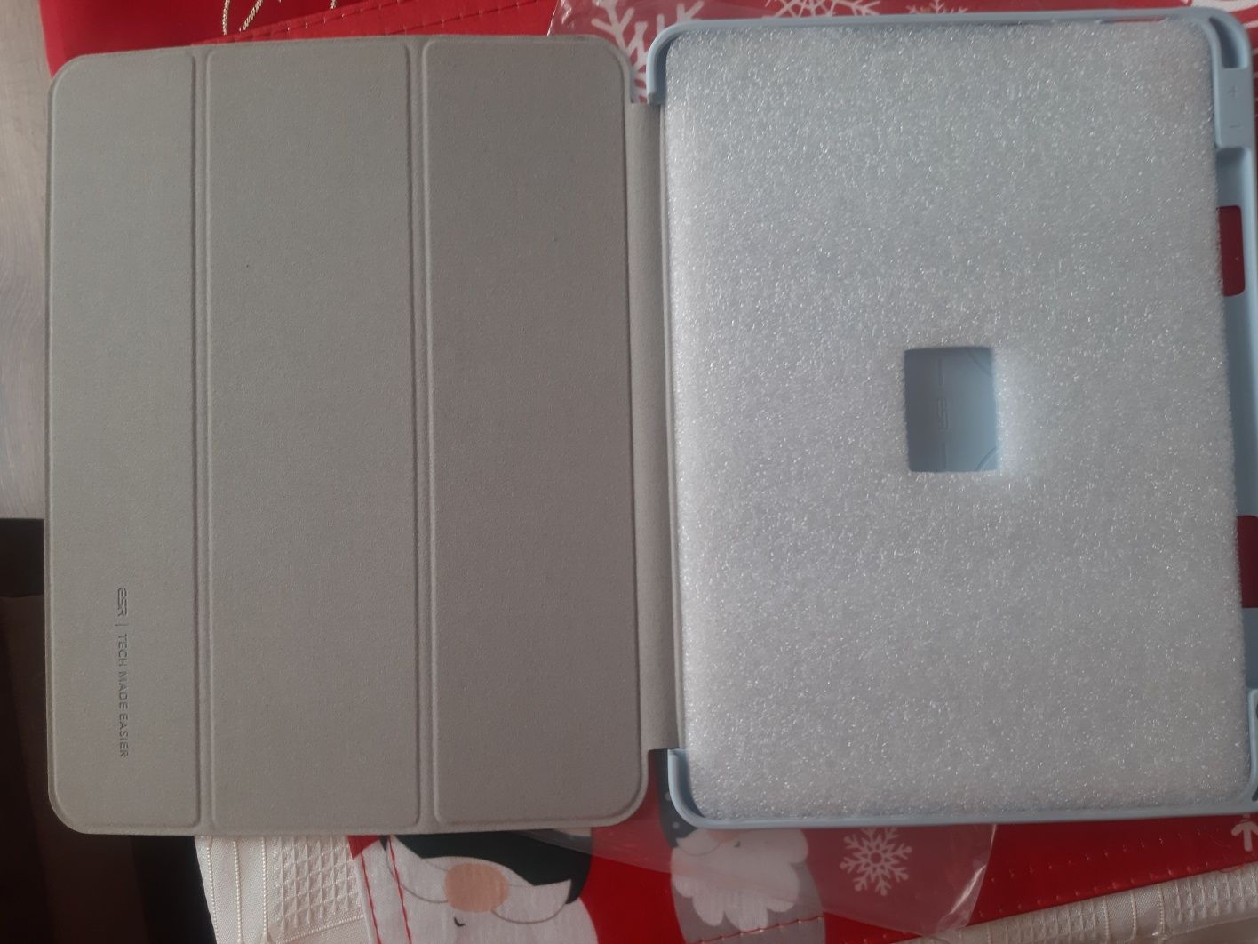 Etui IPad 10 generacji