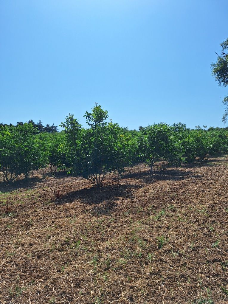 Terreno  com 17000 quadrados bem localizado
