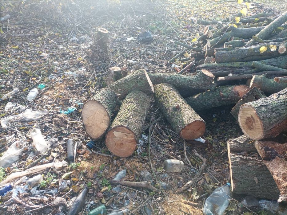 Дрова твердых пород дрова твердих порід зі своєї земельної ділянки